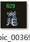 �ؿ���